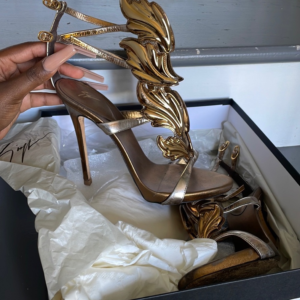 Giuseppe Zanotti